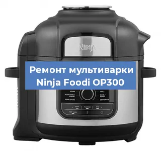 Замена уплотнителей на мультиварке Ninja Foodi OP300 в Перми